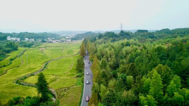 交旅融合看黄山！旅游风景道上跑出“加速度”！
