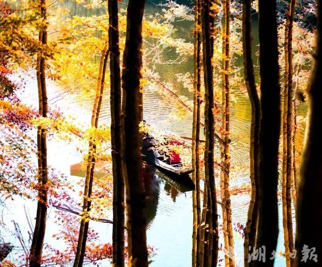 蕲春塔林的秋天，让人不愿离开