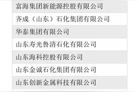 最新发布！山东50家企业上榜2024中国民营企业500强图片