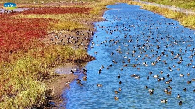 大雪了，你什么时候回盐城啊？