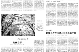 央媒看重庆｜央企助力重庆加快超大城市建设发展图片