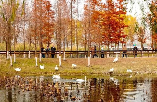 别再问周末去哪了！郑州这些宝藏公园不可错过→