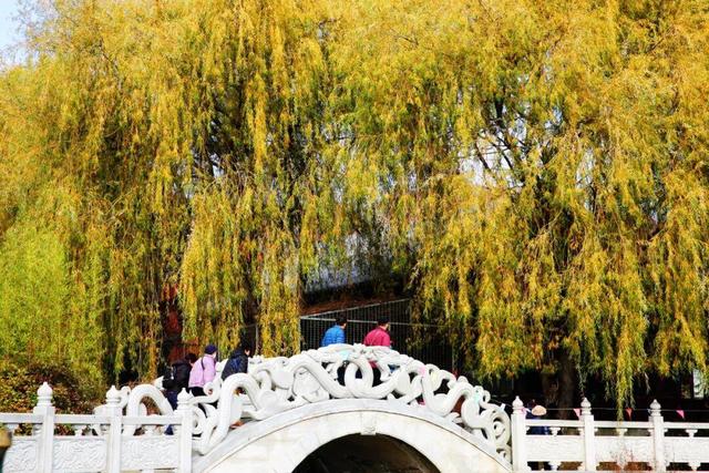 威海这个4A级旅游景区免费！登山看海+千年祈福，初冬盛景不辜负