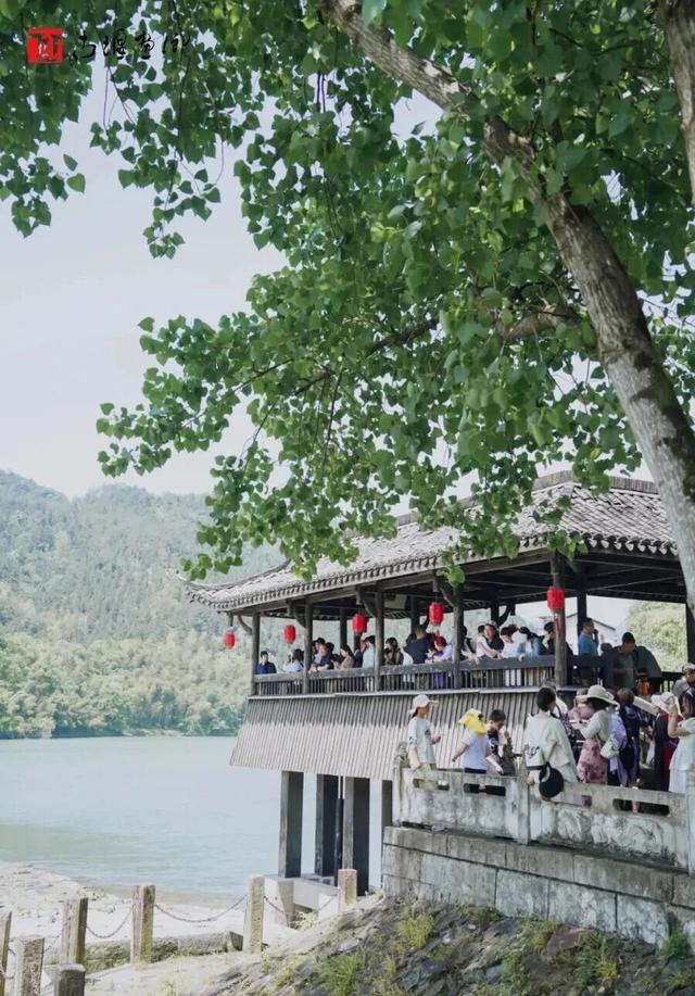 秋假即将开启！莲都这份惊喜请查收