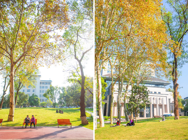 最好的秋天，在华师！