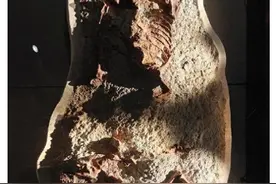 内蒙古发现新属种恐龙“百年鸳鸯龙”，世界恐龙家族再添新丁图片