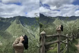 潮声丨AI生图应用，未来是“无限宽广”吗？图片