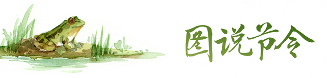 立秋时节读懂草木的“节气时钟”
