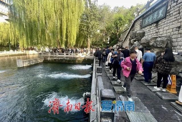 已进入最佳观赏期，济南明确：不扫！