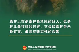 橙色预警，全市禁止！图片