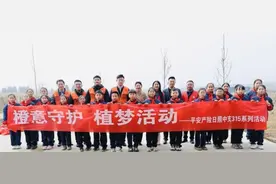 平安产险日照中支开展315金融宣教公益植树活动图片