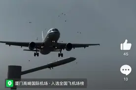 博主无意中拍下“飞机撞击鸟群瞬间”机场：未造成航班异常 航空专家：鸟撞不罕见，通常不会造成恶性事故图片