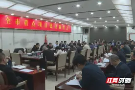 祁阳市召开重点项目建设调度会图片