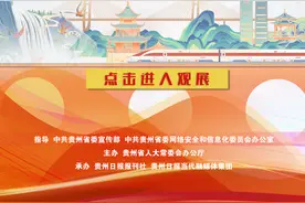 黔图多彩｜李利代表：从贵州出发，布依姑娘闯山海！图片