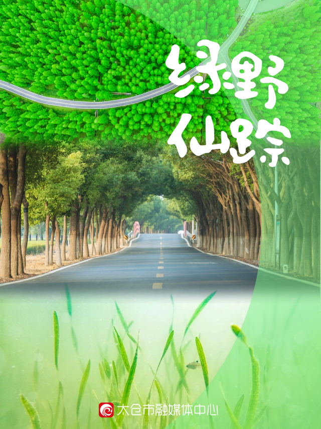 8月，要来一趟太仓吗？