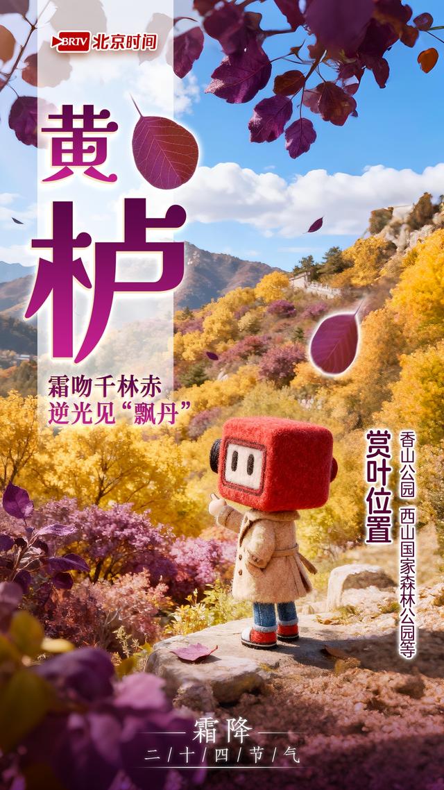 霜降踏京秋 一叶一风光｜8种彩叶绘就北京多彩又诗意的秋