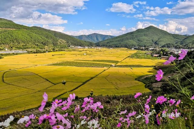长假出游热潮启动！“多省串游”流行，上海稳居入境游热门目的地榜首