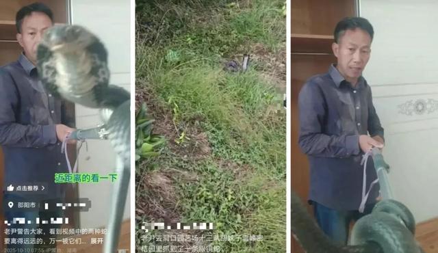大反转！直播抓蛇被咬伤失联网红	，被警方拘留8天后道歉：蛇攻击瞬间被甩开，毒液未完全注射下去