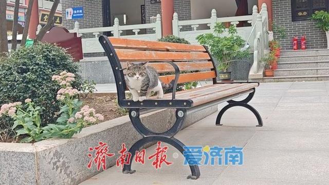 铁轨织就的通明山秋意