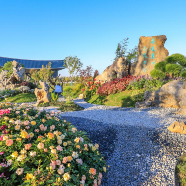 重返20°C+，洛阳极品好天气！速速出门！