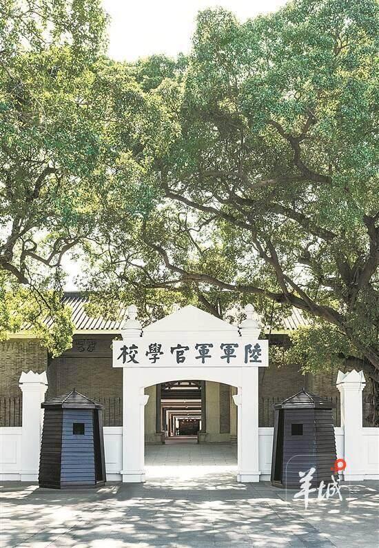 广州黄埔：“黄埔云帆”掀热潮，共赴千年海丝之约