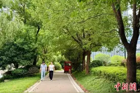 “公园20分钟效应”火爆盛夏 年轻人被大自然治愈图片