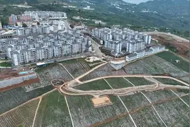 四川金阳县“五项举措”促农增收 巩固拓展脱贫攻坚成果图片