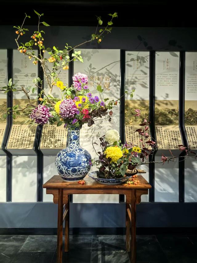金桂飘香！“颐和秋韵”桂花展启幕，十大公园联动