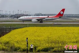 成都：油菜花海与飞机共绘“春日画卷”引市民打卡图片