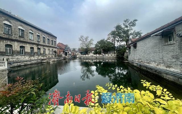 一年四季 泉在济南丨秋染泉池 静美如画
