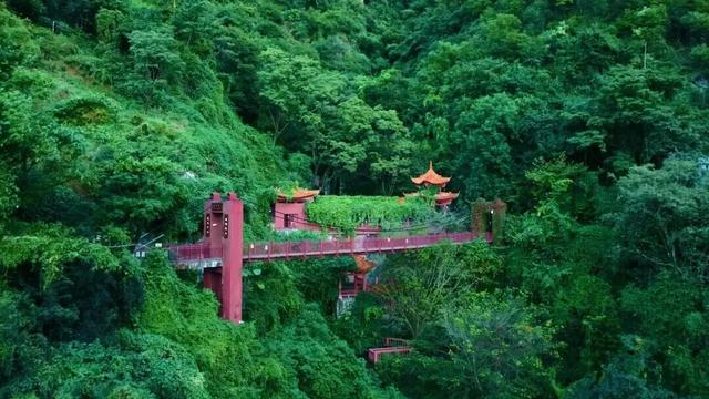 川超传情 共游攀西 攀枝花回信凉山“一家亲”