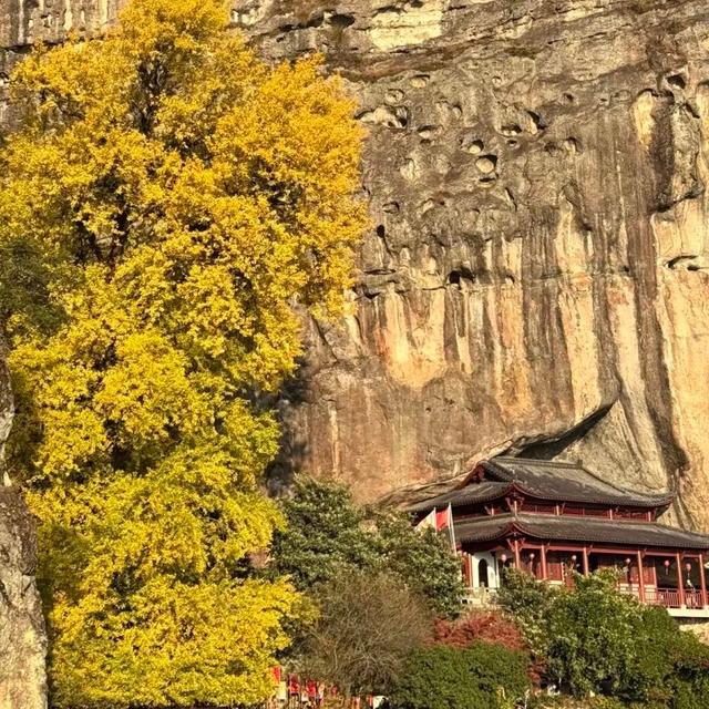 抓住杭州秋天的尾巴，我们和听友在建德度过了一个完美的周末！