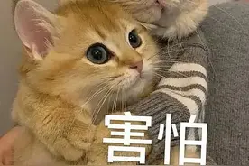 “减肥药”有毒！5人落网！图片