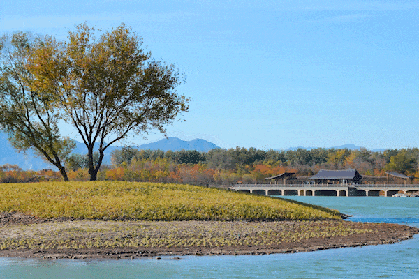玉河湿地公园怎么玩儿？出片点位全攻略