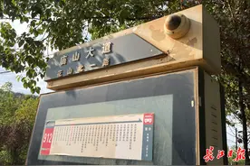 灯箱内长满了藤蔓，智能公交站怎么成了“野生”公交站？图片