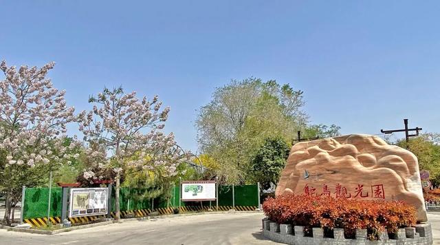 【便民信息】大荔县2026年春节A级旅游景区门票优惠政策