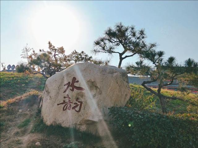彩林映湖光 泰山虎山公园初冬画卷引客来