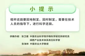 知识科普丨秸秆还田到底好不好？图片