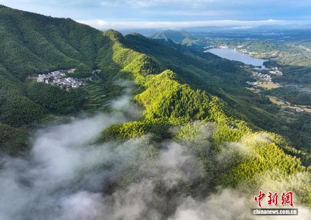 安徽黟县：雨后竹海云雾缭绕似仙境