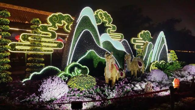 西北首秀绽异彩 米东区获第十五届中国菊花展览会金奖