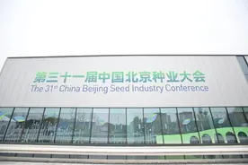 北京种业大会开幕！育种新科技扎推儿通州齐亮相图片