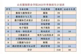 山东服装职业学院2025年单独招生和综合评价招生报考指南图片