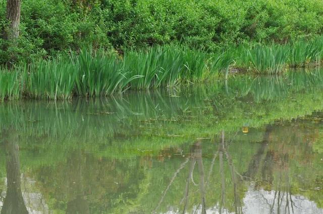四季流转，青浦这座公园的颜值从来不掉线！