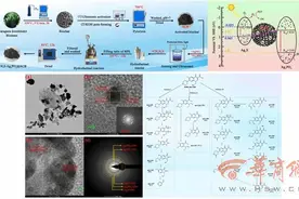 去除高浓度诺氟沙星！西安建大青年学者研发新型复合光催化剂图片