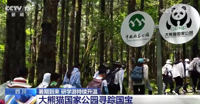 探秘雨林、寻踪国宝、见证奇迹……研学游持续升温点亮“暑期经济”