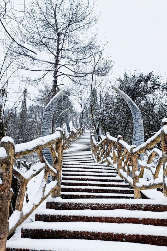 年末团建玩点不一样的！「冬游古木冲」限定攻略来了！