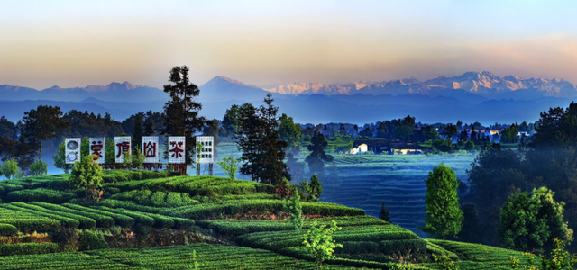 熊猫故乡的双城梦！雅安在成渝协同发展中崛起