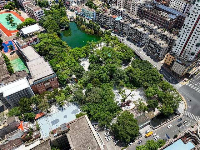 “焕新”开放！东莞人超爱去的这些公园有新惊喜→