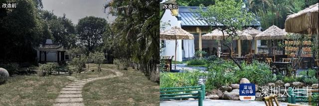 这个公园有了大变化！深圳园博园用公园打开城市新生活方式