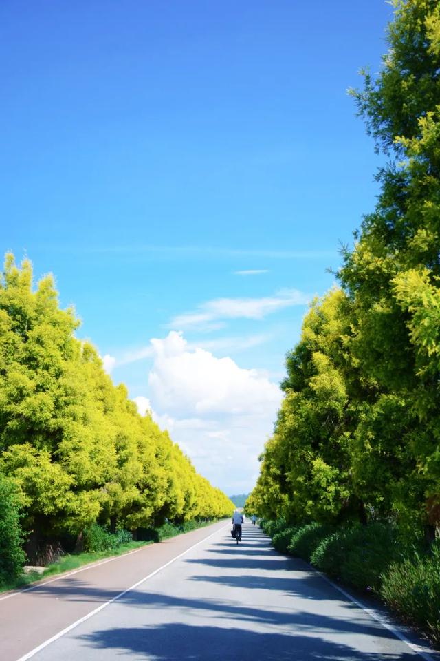 异龙湖骑行，遇见最美日落！这份环湖攻略快收好